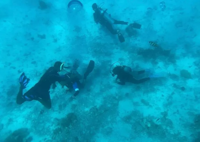 House Whit Sea View *