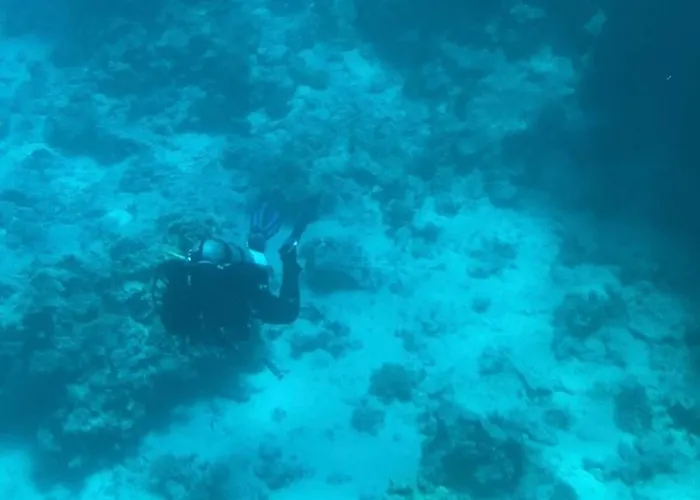 House Whit Sea View Апартаменты